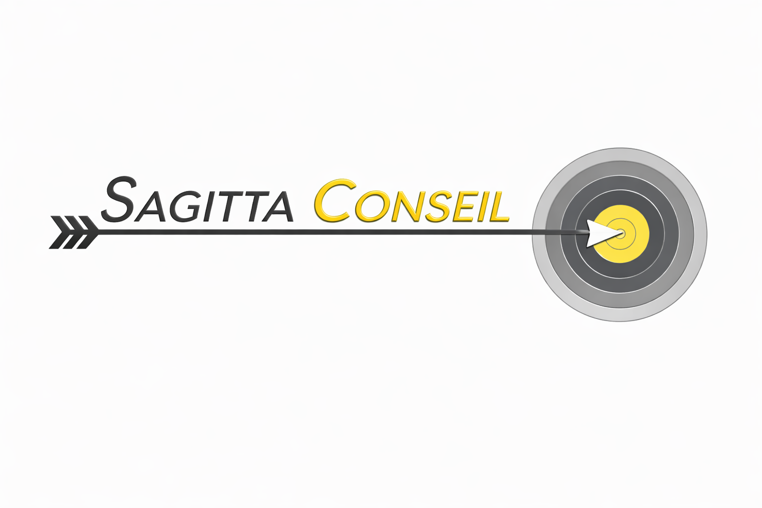 Sagitta Conseil